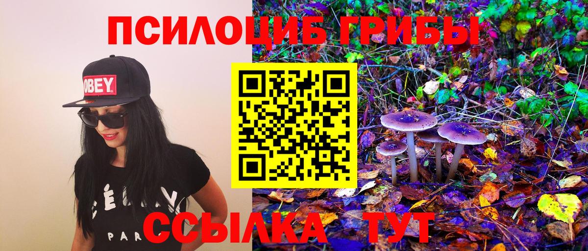 Галлюциногенные грибы Psilocybine cubensis  Вход с VPN  Владивосток 