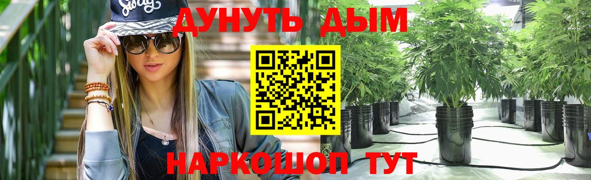 Бошки Шишки Amnesia  Канабис тримм  Конопля OG Kush  Конопля OG Kush  Вход с VPN  Владивосток 